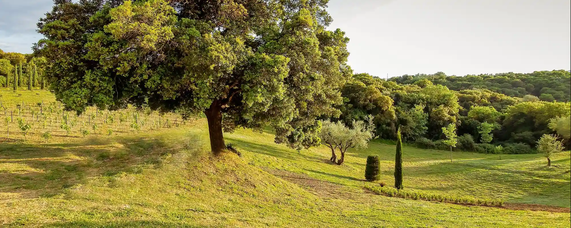 Event-Filming-Photography-Venue-Villa-Elenas-In-Greece-02