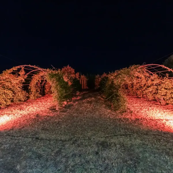 Tuscan-Romance-Wedding-in-Greece-Villa-Elenas-73